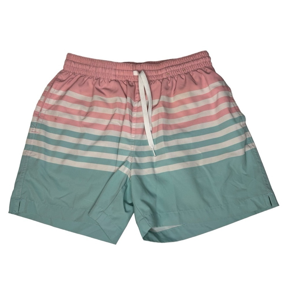 Chubbies The On The Horizons 5.5" Swimmers Shorts Small